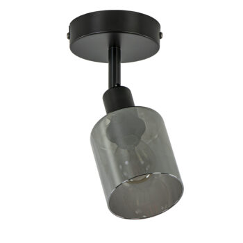 02810002 Plafond wandlamp mat zwart met smoke glas.jpg