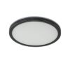 05320065 LED plafondlamp met 3 licht opties zwart rond.jpg
