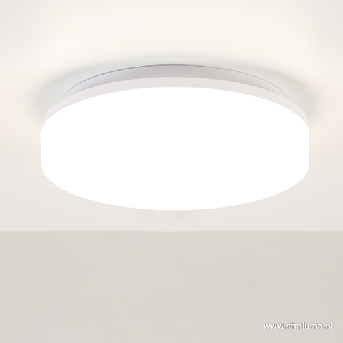 08451701 detail 1.jpg