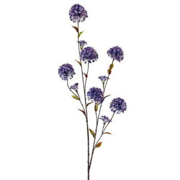 09900037 bloem lila.jpg