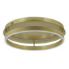 11200012 Ronde LED plafondlamp floating ring goud.jpg