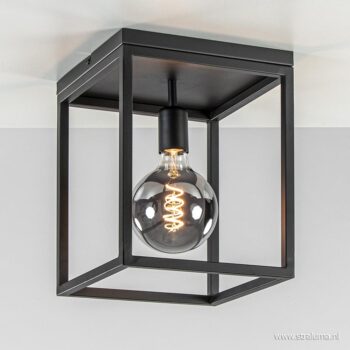 12480055 detail1 Plafondlamp zwart frame hal gang.jpg