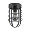 12480107 Moderne plafondlamp zwart kooi.jpg