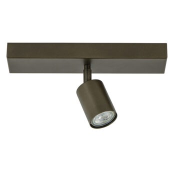 12480558 Strakke opbouwspot titanium verstelbaar.jpg