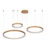 12700254 3Lichts gouden LED hanglamp ringen.jpg