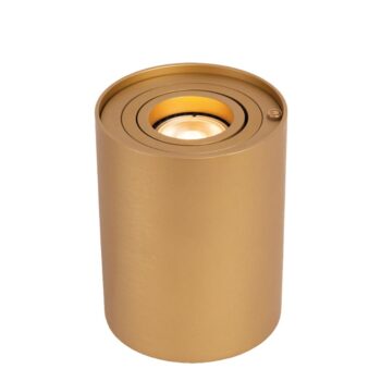 12700333 Tafelamp Goud mat.jpg