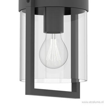 12900038 detail 1.jpg