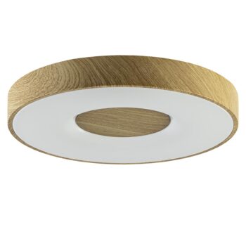 12900105 Grote LED plafondlamp met remote hout dimbaar.jpg