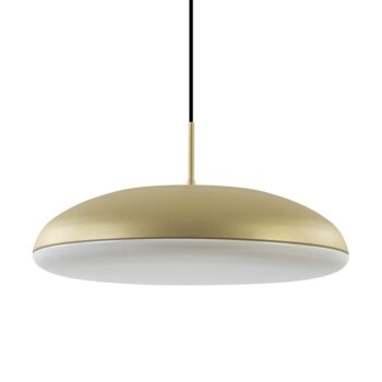 12900145 Koepel hanglamp mat goud met kunststof kap.jpg