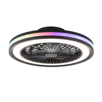 12900147 Plafondventilator zwart inclusief dimbaar LED en kleur.jpg