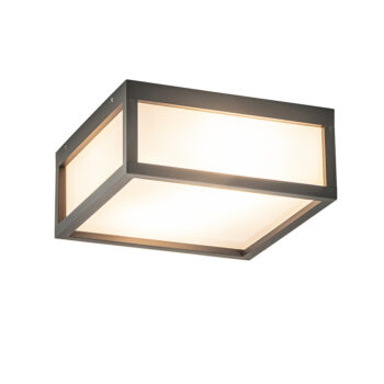 12900182 detail 1.jpg