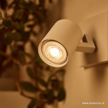 13104513 detail 2.jpg