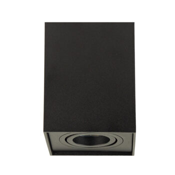 13600028 Plafondlamp Zwart.jpg