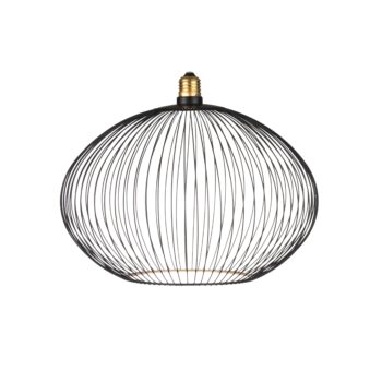 17300029 segula filo black oval.jpg