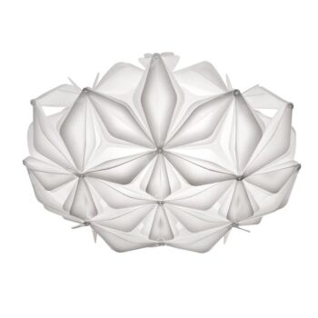 19000082 detail 1.jpg