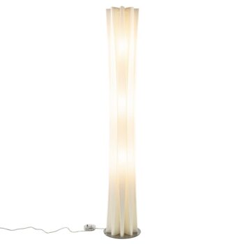 19000103 detail 1.jpg