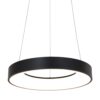 19771612 Zwarte hanglamp ring inclusief LED.jpg