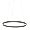 19771738 Design hanglamp ring mat zwart inclusief LED.jpg