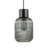23220100 1Lichts hanglamp zwart met smoke glazen cilinder.jpg