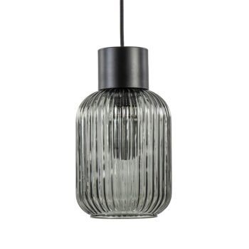 23220100 1Lichts hanglamp zwart met smoke glazen cilinder.jpg